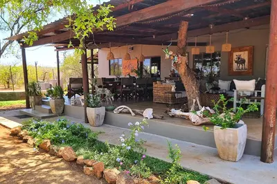 a patio with severalotted plants in vases at Ngalali Retreat in Grietjie Nature Reserve