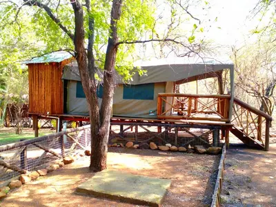 a house with a tree and a fence at Kruger Dreams Lodge in Marloth Park