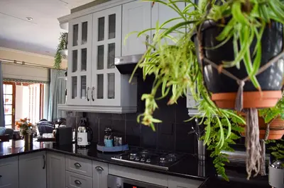 a kitchen with black counters and white cabinets and plants at Ambassador Lodge in Dullstroom