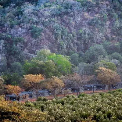 Lions Rock Rapids - Luxury Tented Camp