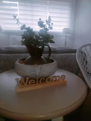a potted plant sitting on top of a table at White River B & B in White River