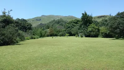 a large grass field with trees and mountains in the background at Wild Forest Inn in Graskop