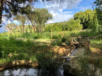 a wooden bridge over a pond in a field at Tegwaan Country Getaway in Waterval Boven