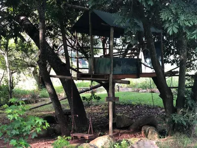 a tree house in a tree at Tegwaan Country Getaway in Waterval Boven