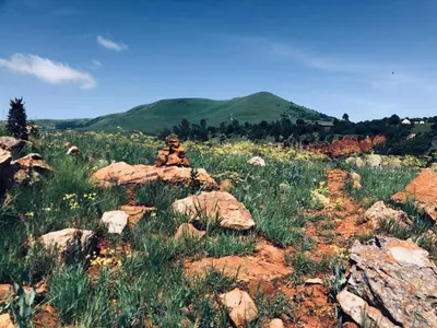 a person sitting on a rock in a field of flowers at Tegwaan Country Getaway in Waterval Boven