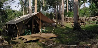 a tent with a wooden platform in a forest at Tegwaan Country Getaway in Waterval Boven
