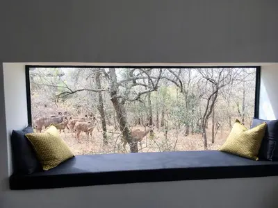a window with a view of deer in the woods at Ochre House in Marloth Park