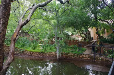 a pond in a garden with trees and plants at Bosveldsig Cottages in Modimolle