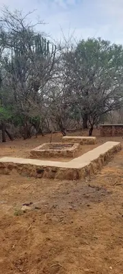 a set of concrete steps in a field with trees at Bosveldsig Cottages in Modimolle