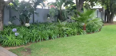 a garden with plants and flowers next to a fence at Arum Lily Guest Rooms in Pretoria