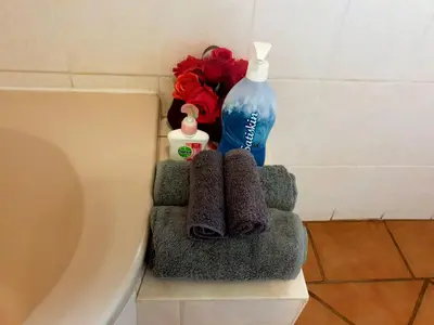 a bathroom with a toilet and a bottle and towels at SnL 38 Hoep Hoep in Malelane