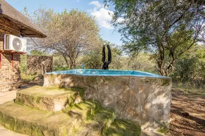 a swimming pool with a cactus in a yard at Mopani Manor in Marloth Park