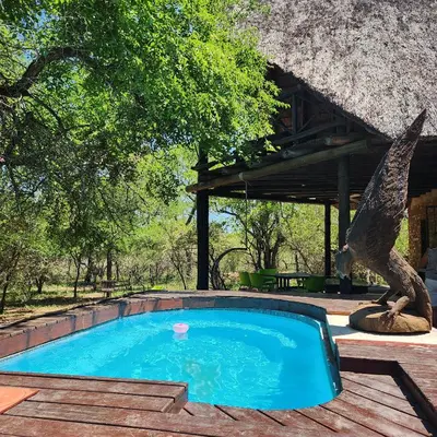 a swimming pool with an eagle statue next to a building at Mopani Manor in Marloth Park