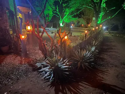 a row of plants next to a fence at night at Flight of the Eagle @ Kruger in Marloth Park