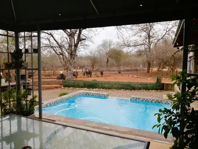 a swimming pool in a yard with people in the background at Flight of the Eagle @ Kruger in Marloth Park