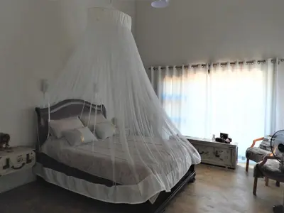 a bedroom with a bed with a mosquito net at Flight of the Eagle @ Kruger in Marloth Park