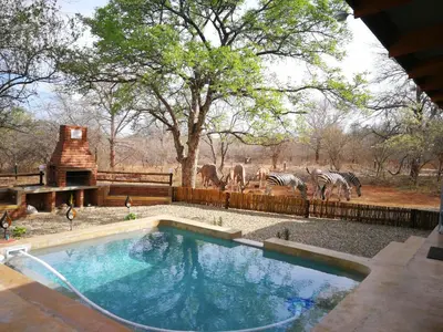 a pool of water with zebras in the background at Flight of the Eagle @ Kruger in Marloth Park