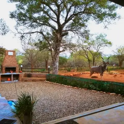 Flight of the Eagle @ Kruger