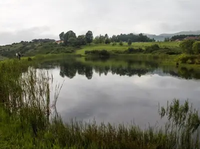 a pond in a field with trees in the background at Marks Cottage in Dullstroom