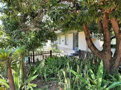 a house with a fence and trees and plants at Elephant Walk Guesthouse and Back Packers in Phalaborwa