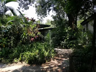 a path leading to a house with trees and plants at Elephant Walk Guesthouse and Back Packers in Phalaborwa