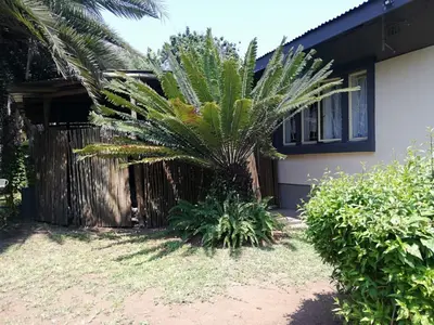 a palm tree in front of a house at Elephant Walk Guesthouse and Back Packers in Phalaborwa