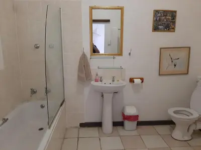 a bathroom with a sink and a shower and a toilet at Elephant Walk Guesthouse and Back Packers in Phalaborwa