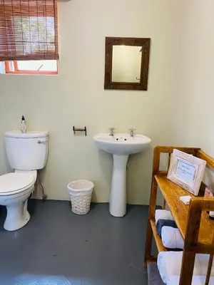 a bathroom with a toilet and a sink at Wild Fig Guesthouse in White River