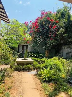 a garden with a bench in front of a house at Wild Fig Guesthouse in White River