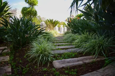 a garden with a stone pathway with plants at Indlovukazi Guesthouse in Hartbeespoort