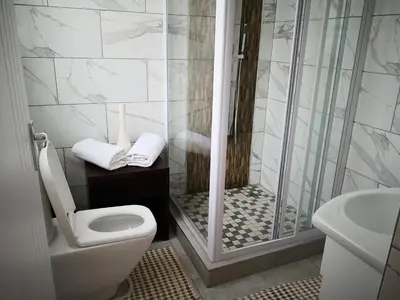 a bathroom with a shower and a toilet and a sink at Mmakgabo Boutique Lodge in Bela-Bela