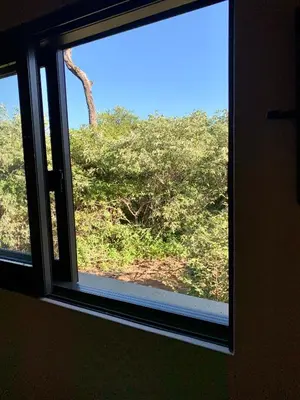 a window with a view of a tree at Rooibos Luxury Bush Cottage in Hoedspruit