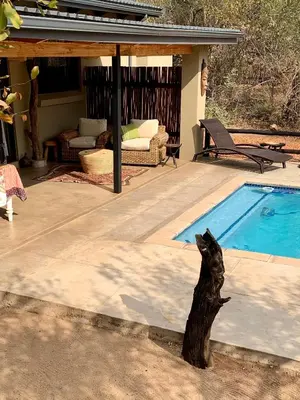 a swimming pool in front of a house at Rooibos Luxury Bush Cottage in Hoedspruit