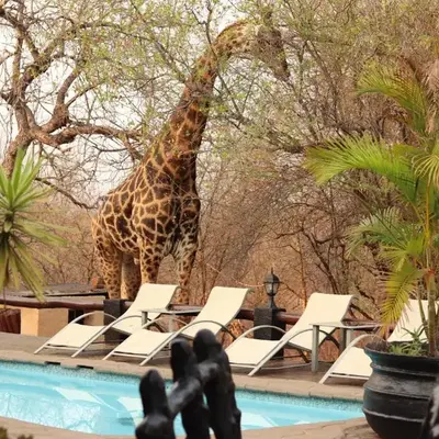 African Rock Lodge
