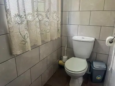 a bathroom with a toilet and a shower curtain at Leribisi Lodge in Tierpoort