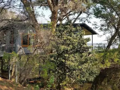 a house is seen from behind a tree at Tree Tops Guest Farm in Isidule