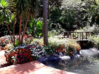 a garden with colorful flowers and a wooden bridge at Tree Tops Guest Farm in Isidule
