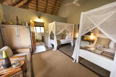 a bedroom with two beds with mosquito nets at Kambaku Safari Lodge in Timbavati Game Reserve