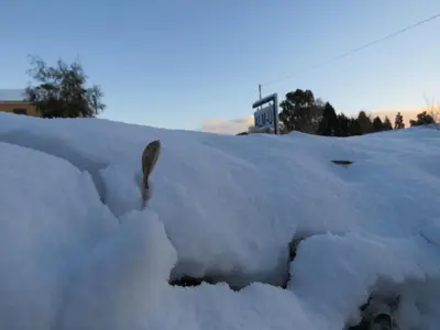 a pile of snow on top of a car at Alm-Ü in Dullstroom