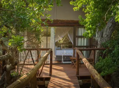 a wooden porch with a bed in a room with trees at Panzi Lodge in Guernsey Nature Reserve