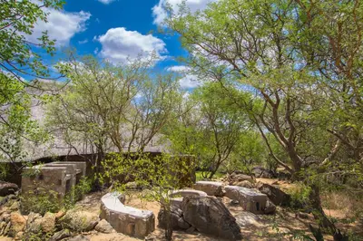 a group of trees and rocks in a forest at Hasekamp Hospitality in Hoedspruit