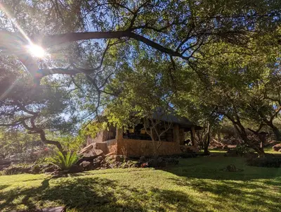 a house sitting under a tree with the sun shining at Hasekamp Hospitality in Hoedspruit