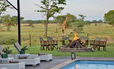 a giraffe standing behind a fire pit with a giraffe in the background at Safari Plains in Mabula