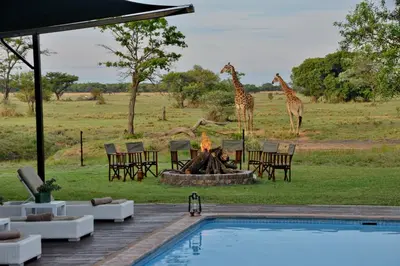 two giraffes are standing around a fire in a field at Safari Plains in Mabula