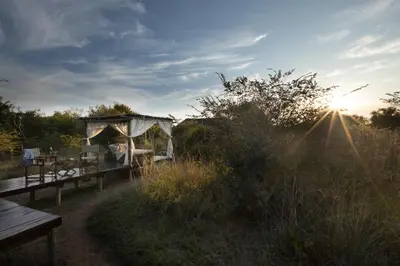 a picnic table and a gazebo in a field at Safari Plains in Mabula