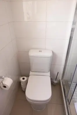 a white bathroom with a toilet and a shower at The Wilcrest Apartment in Randjesfontein