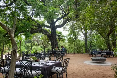 a group of tables and chairs under a tree at Kings Camp in Timbavati Game Reserve