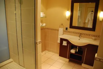 a bathroom with a sink and a shower at Southern Sun OR Tambo International Airport in Kempton Park