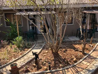 a cat standing next to a tree in a yard at At Rest Bushstay in Hoedspruit