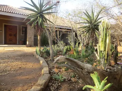 a garden in front of a house with palm trees at At Rest Bushstay in Hoedspruit